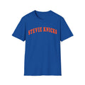 Stevie Knicks Worn Taylor Swift Unisex T-shirt, Sweatshirt, Hoodie (1)