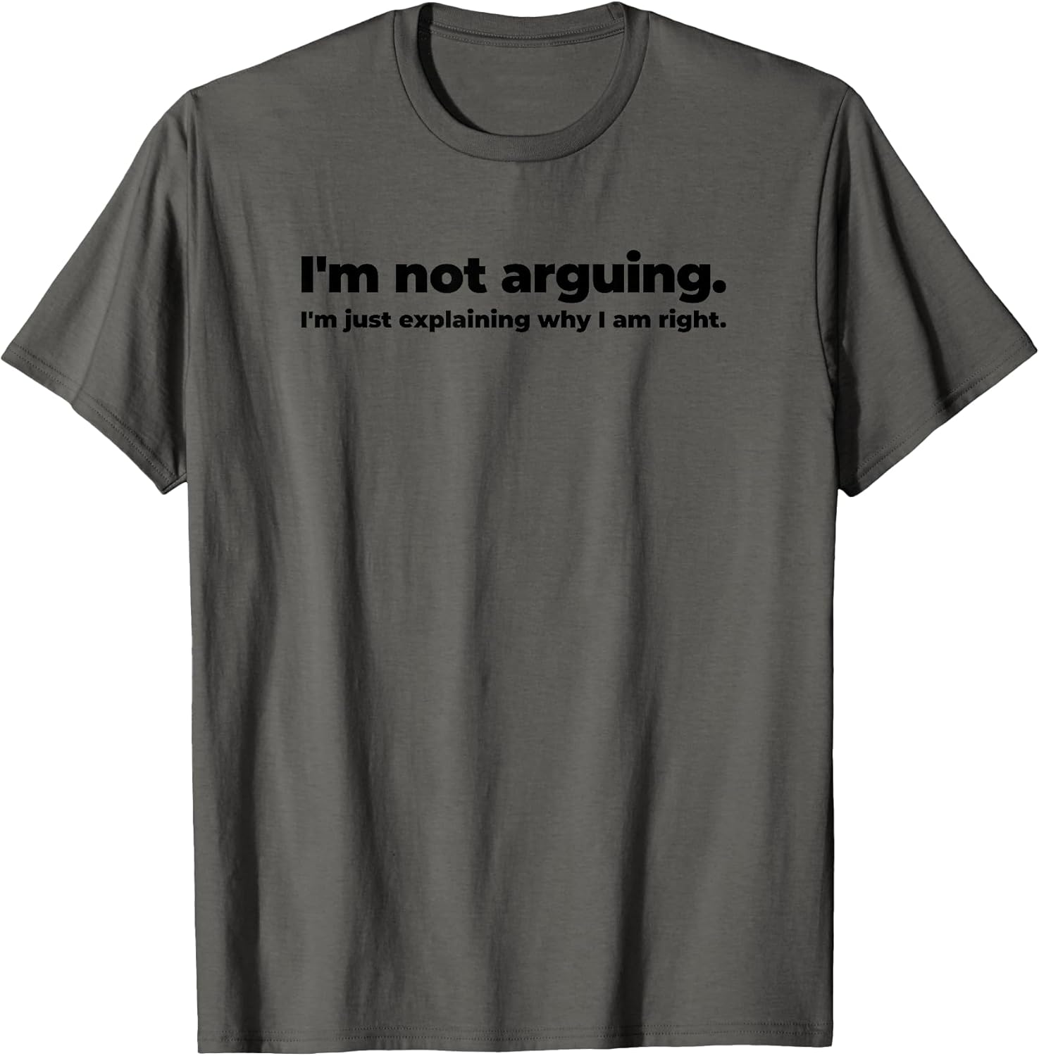 I Am Not Arguing Funny Sayings Quotes Merch