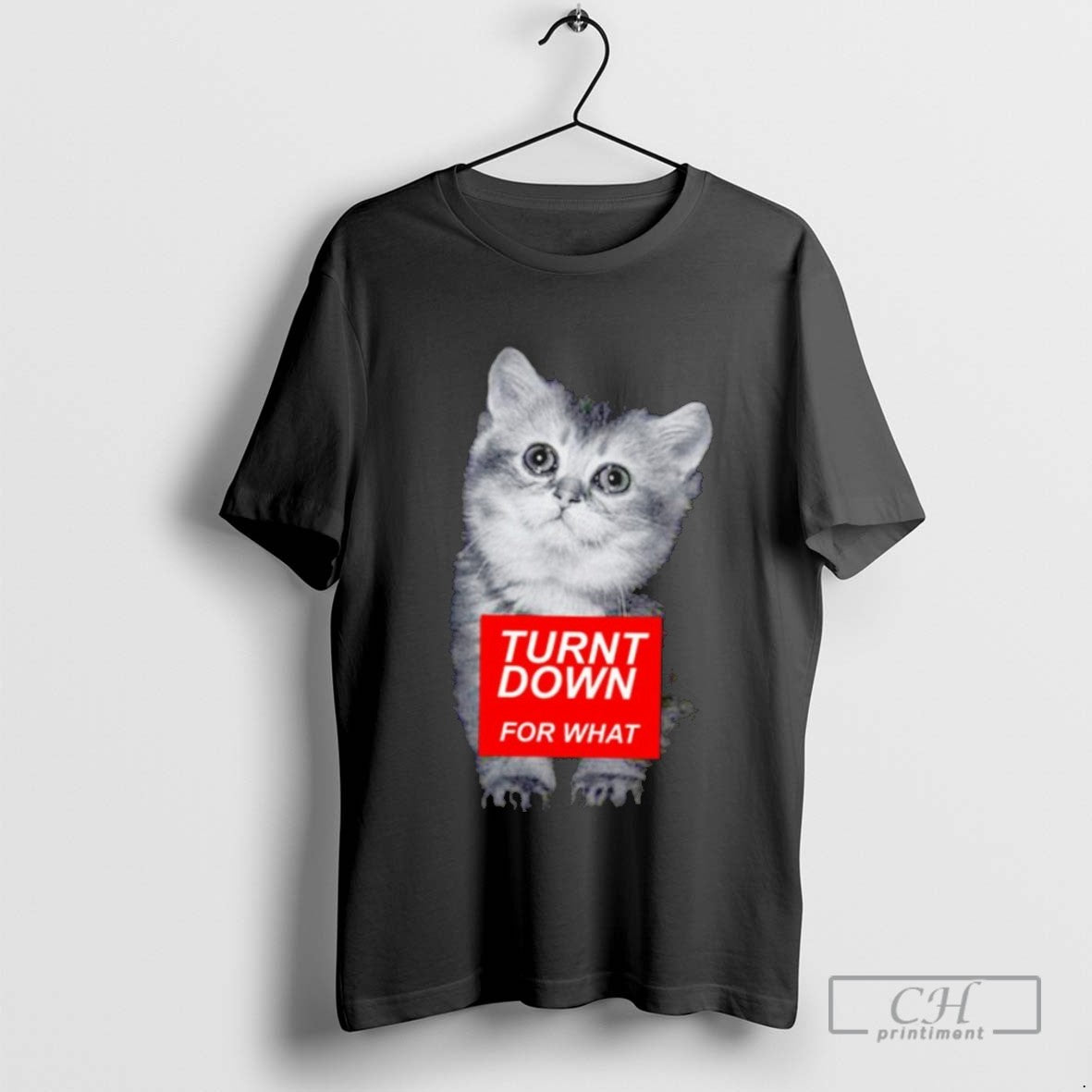 Cat Turnt Down For What