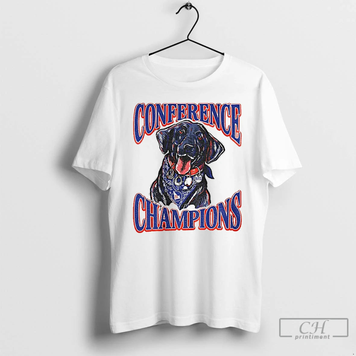 Classic Boise State Broncos Back To Back Conference Champions Blitz T-Shirts, Hoodie, Sweatshirt | AU01DripNestTees.com