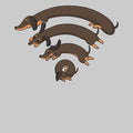 Dachshund Connection