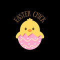 Easter Chick