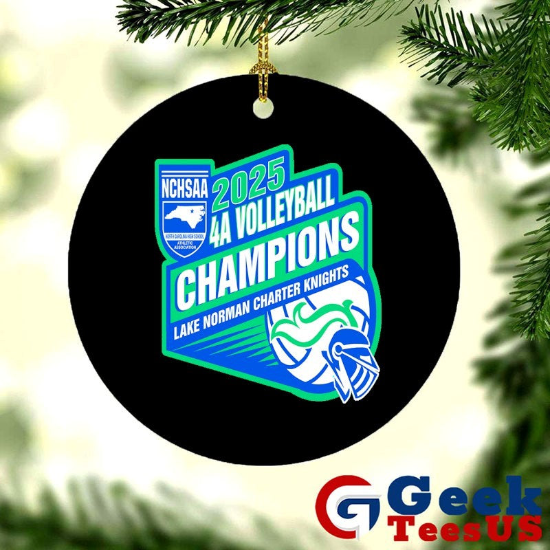 Lake Norman Charter Knights NCHSAA 4A Volleyball Champions 2025 T-shirt