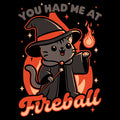 Magical Fireball Cat Rpg Wizard