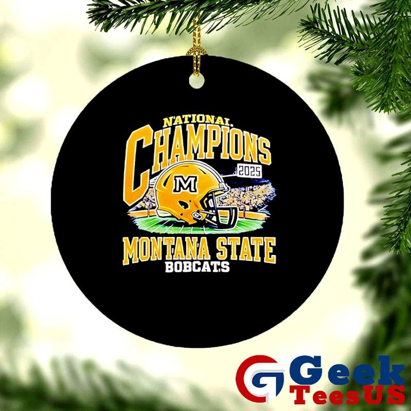Montana State Football Division I Football National Champions 2025 helmet T-T-shirt