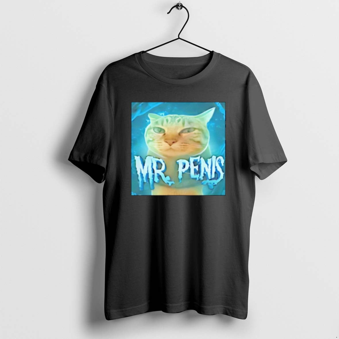 Official Mr Penis Cat Meme Christmas T-Shirts, Hoodie, Sweatshirt | AU01DripNestTees.com