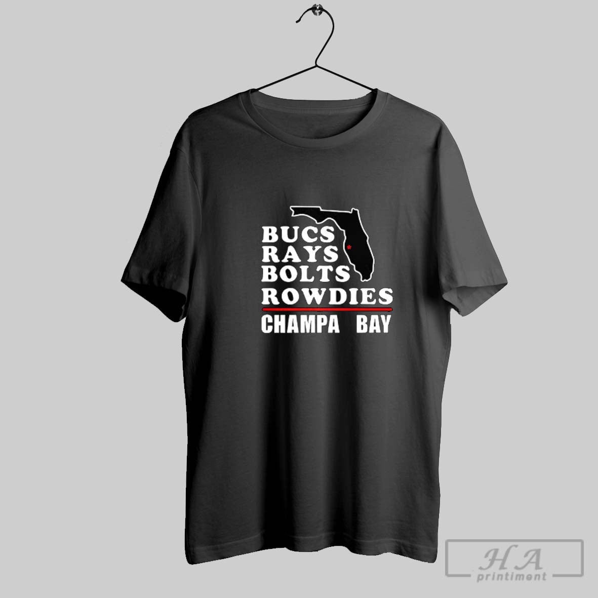 Official Tampa Bay Buccaneers Football Bucs Rays Bolts Rowdies Champa