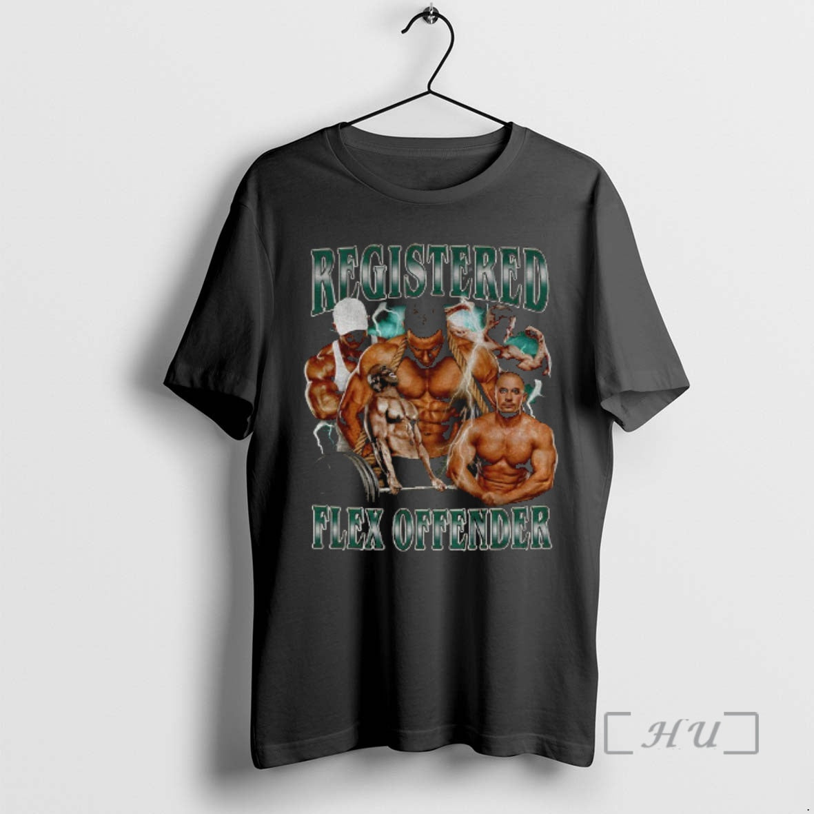Officials Registered Flex Offender Gym Meme T-Shirts, Hoodie, Sweatshirt | AU01DripNestTees.com