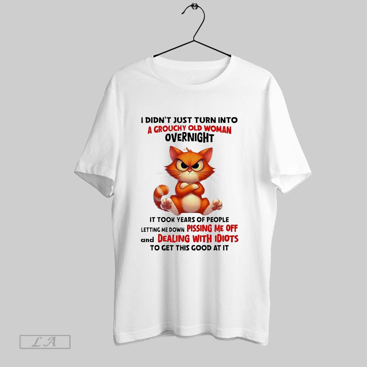 Original Cat I Didnt Just Turn Into A Grouchy Old Woman Overnight Dealing With Idiots