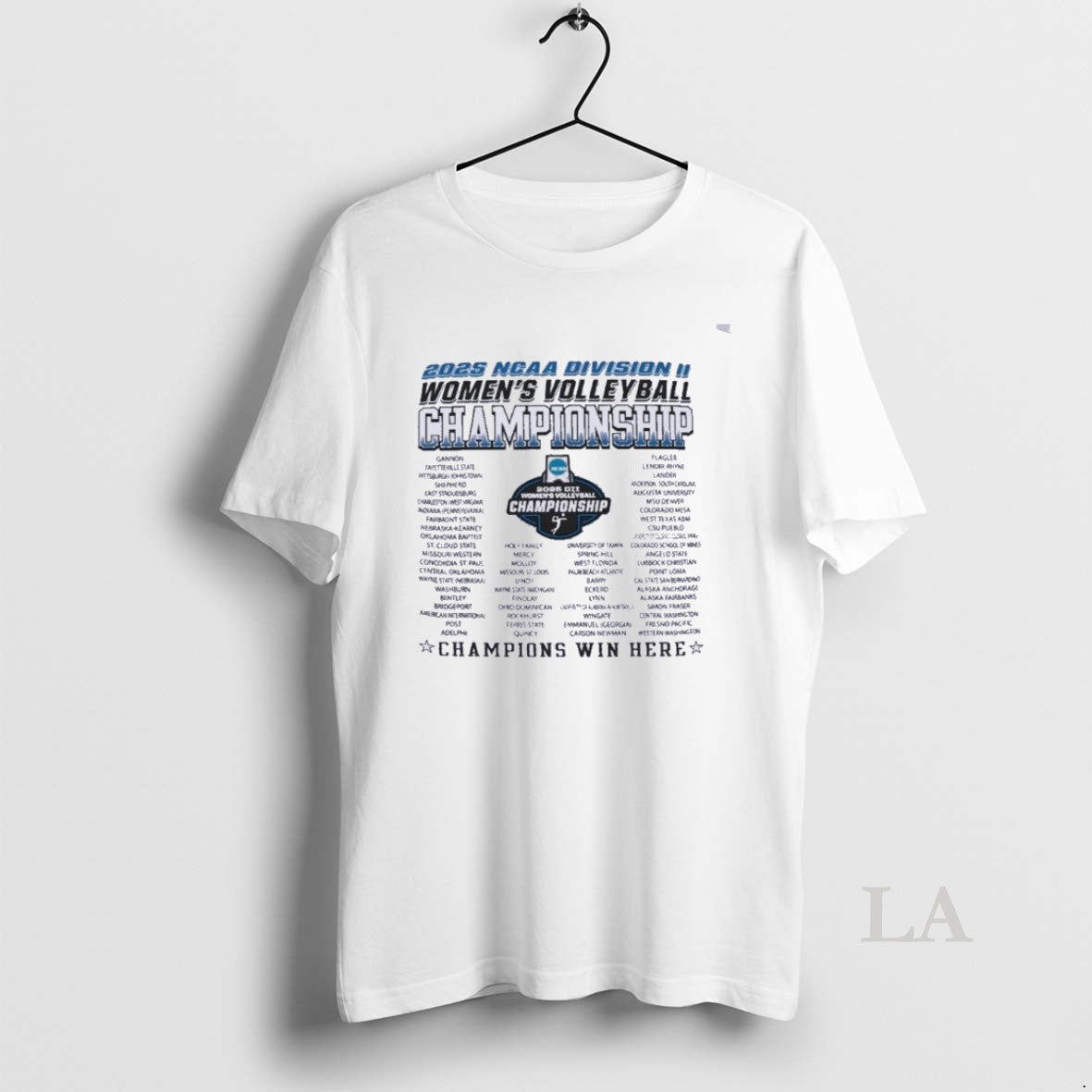 Original Dii Womens Volleyball Regionals 2025 T-Shirts, Hoodie, Sweatshirt | AU01DripNestTees.com