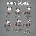 Pain Scale 2
