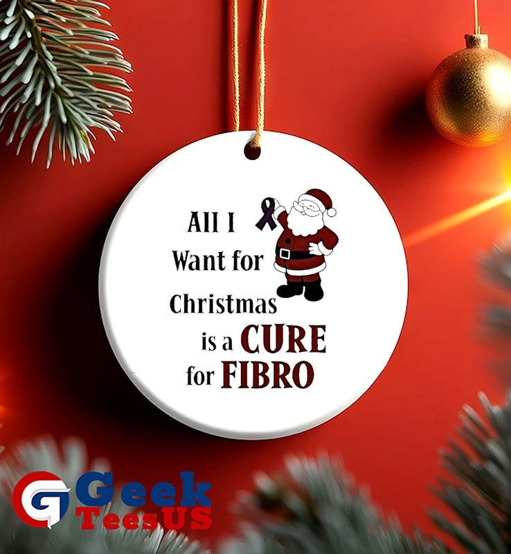 Santa Claus All I want for Christmas is a cure for Fibro Christmas shirt