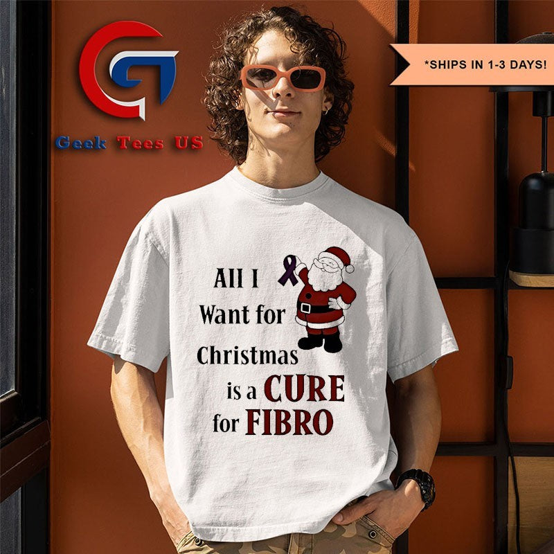 Santa Claus All I want for Christmas is a cure for Fibro Christmas shirt