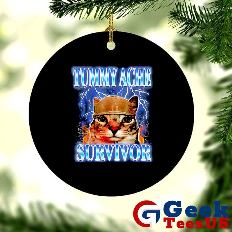 Tummy Ache Survivor Cat meme shirt