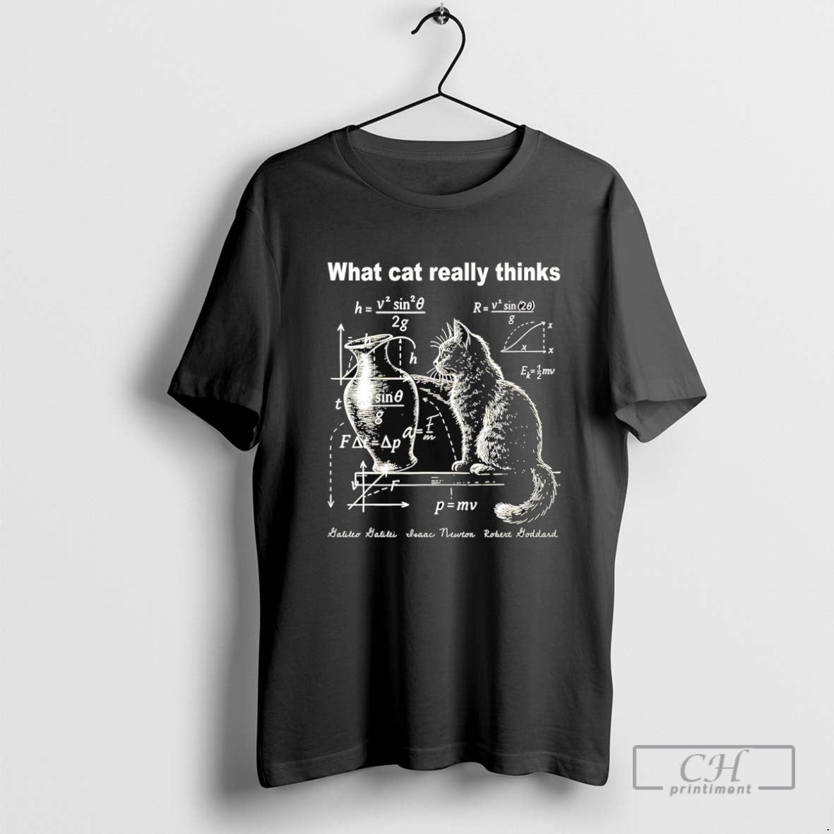 What Cats Really Thinks Physics