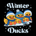 Winter Ducks