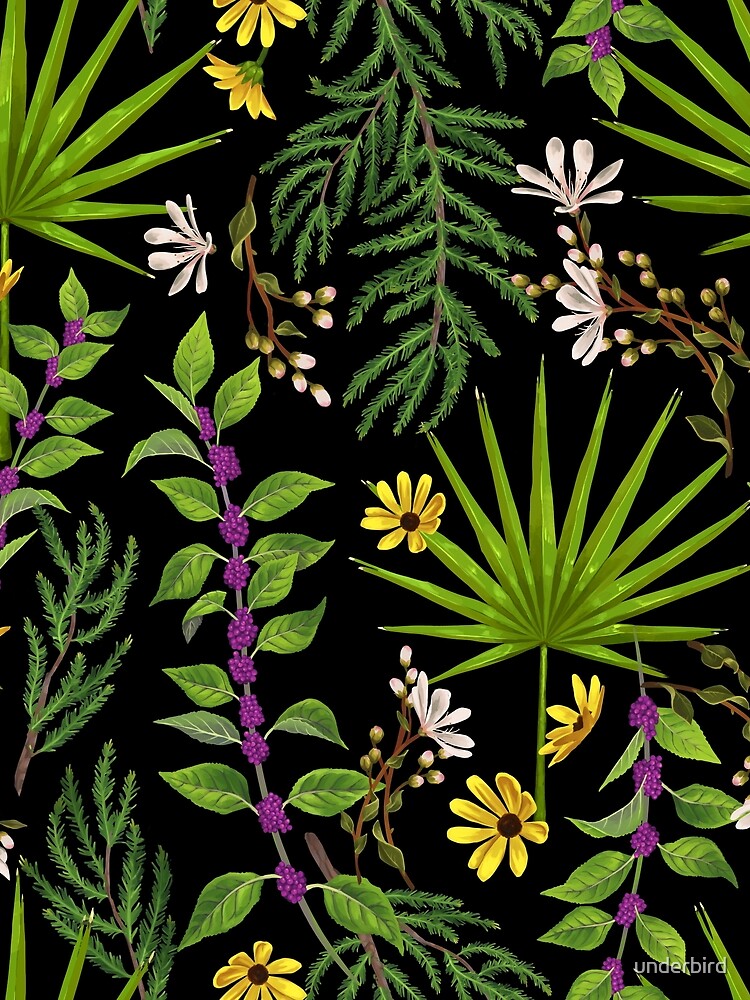 Florida Native Plants by underbird