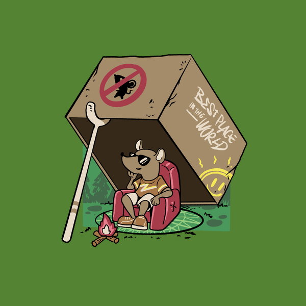 Ideal Campfire