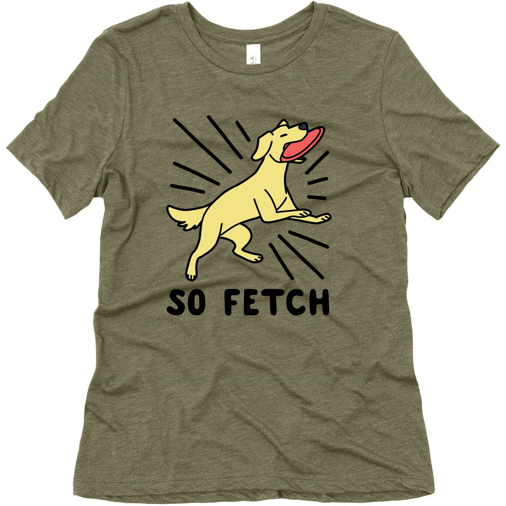 So Fetch - Dog Womens Triblend Tee