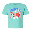 Prosecutor VS. Felon 2024 Womens Cotton Boxy Tee