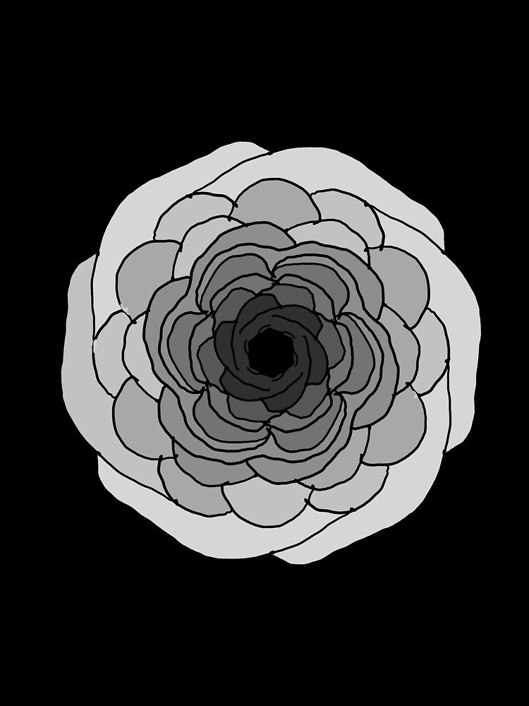 Grey Flower in Black by KExpressions