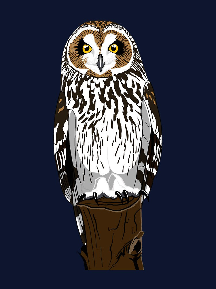 Short-Eared Owl by BennuBirdy
