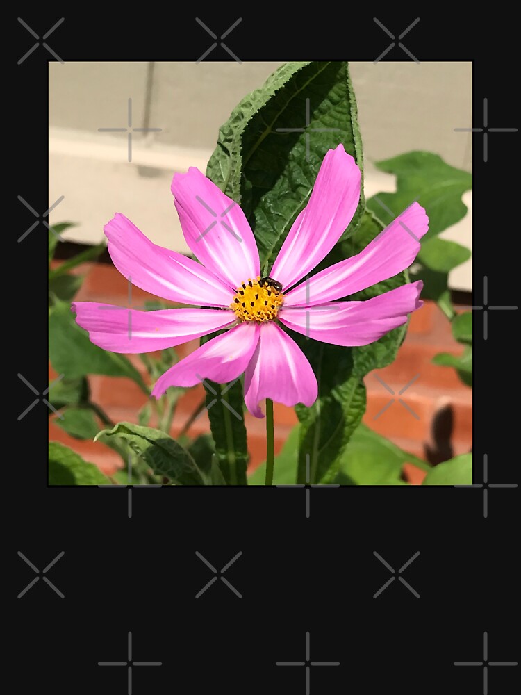 Serendipity by ErinBrieArt
