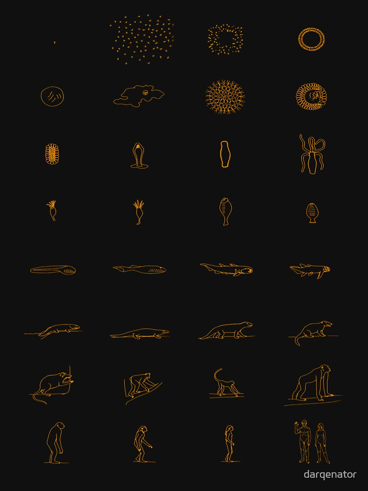 Evolution according to Sagan - Orignal Orange by darqenator