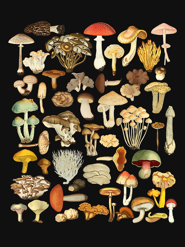 Mushroom Mycology Fungi Foraging Mushroom Whisperer by Earlene2365