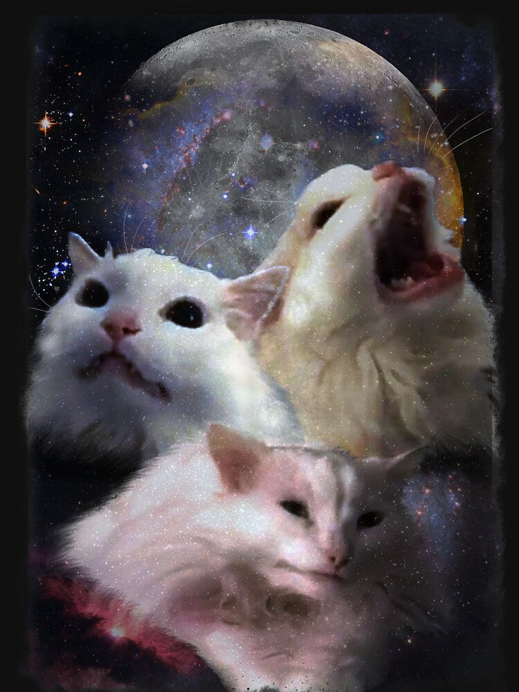 Triple Thurston Moon Cats! by Thurstonwaffles