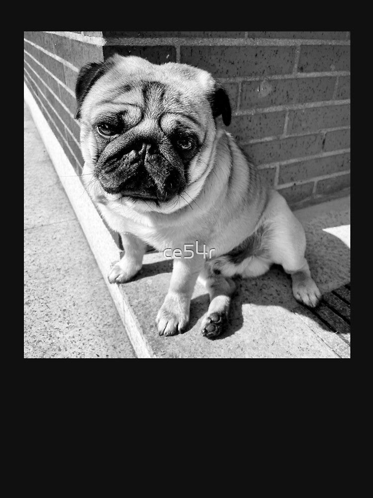 Pug Sunbathing | Dog Lover | Pug Lover | Animal Lover by ce54r