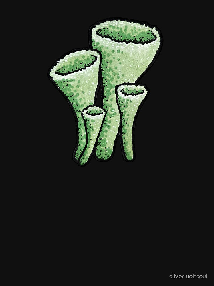 Pixie Cup Lichen by silverwolfsoul