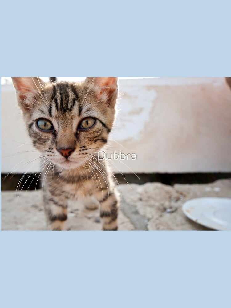 Kitty Cat by Dubbra