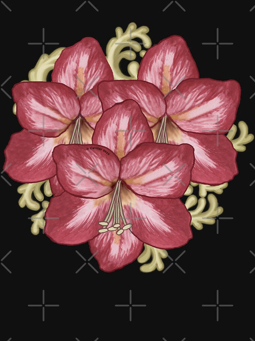Amaryllis Flowers by artmuvz