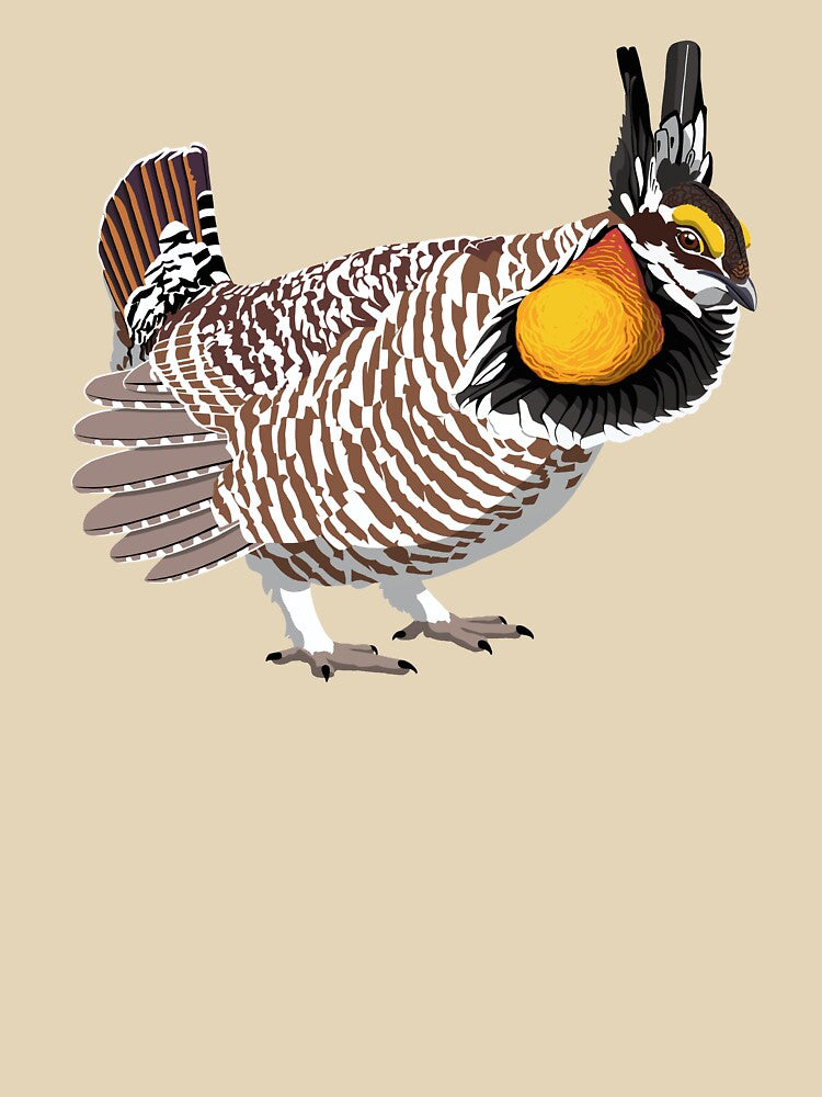 Greater Prairie Chicken by BennuBirdy