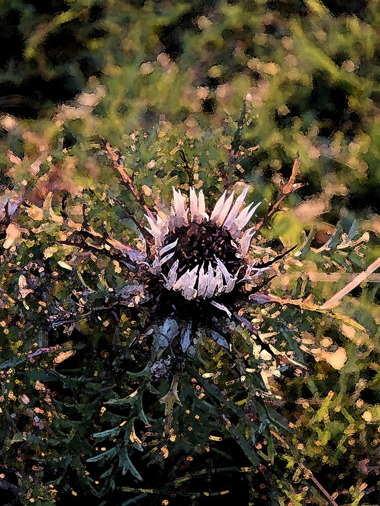 Forest flower by ArDi9168