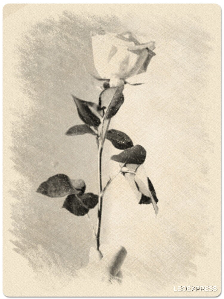 Flower Art by LEOEXPRESS