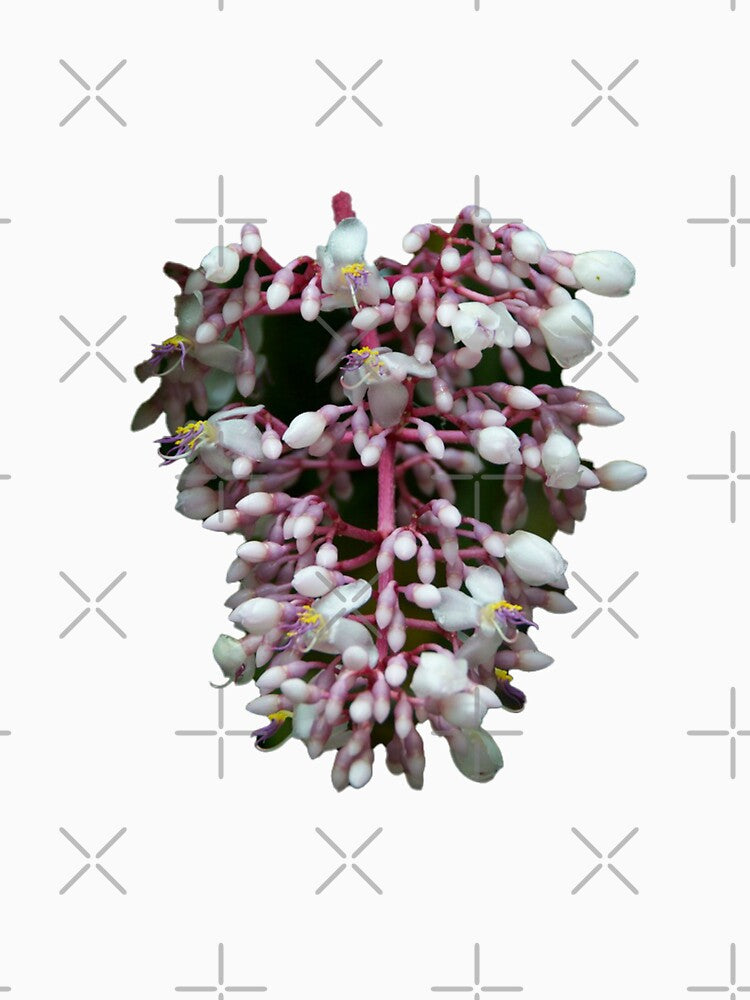 pink and white flower by rinamg