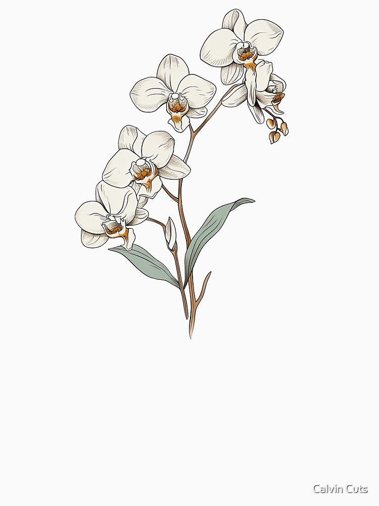 Orchid Flower by Calvin Cuts