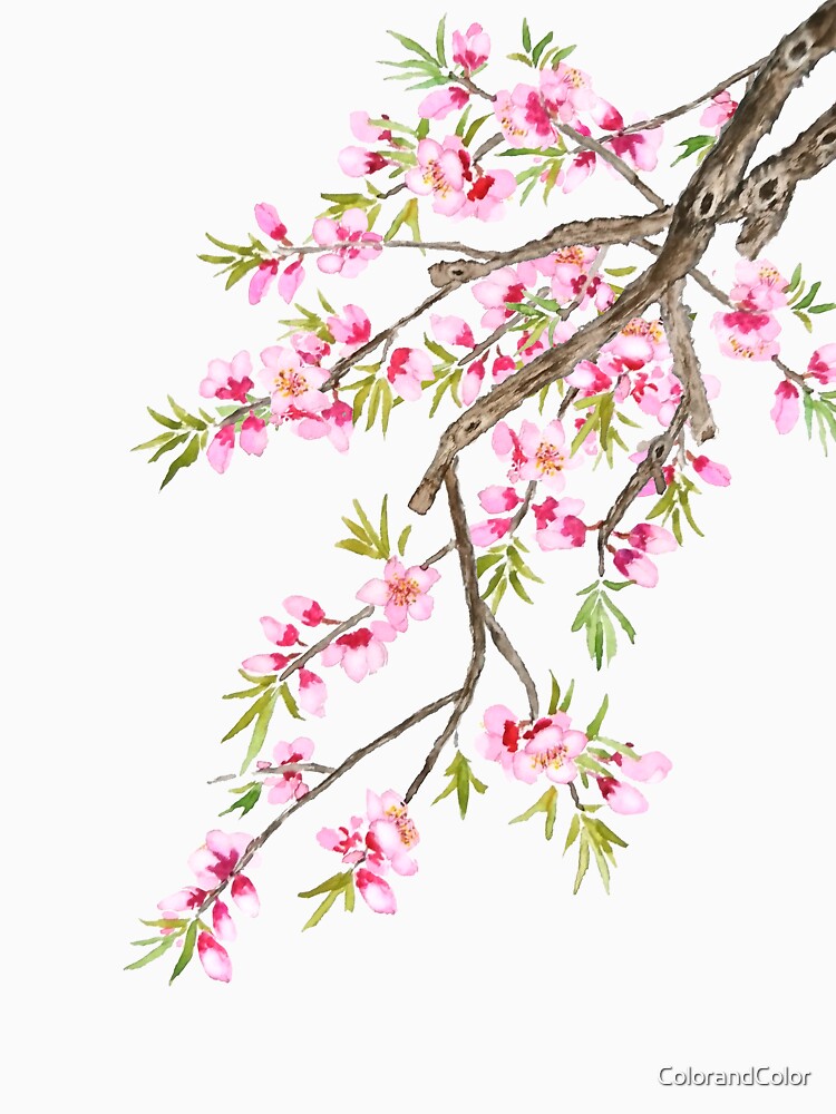 hand painted pink peach blossom 2020 by ColorandColor