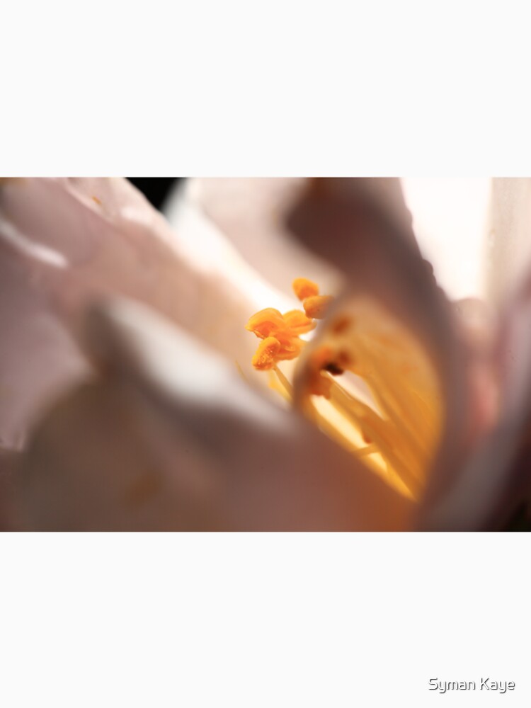 Flower Print - Muted Flower Print - Bold Abstract Flower Print by Syman Kaye