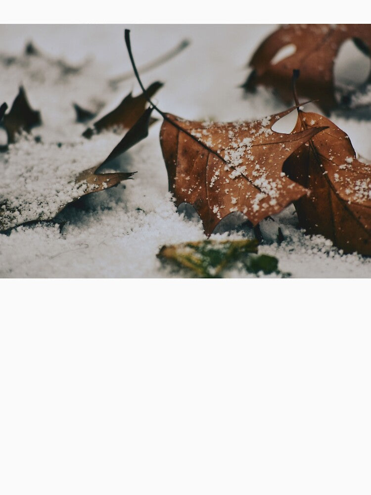 the death of fall by SK photography life