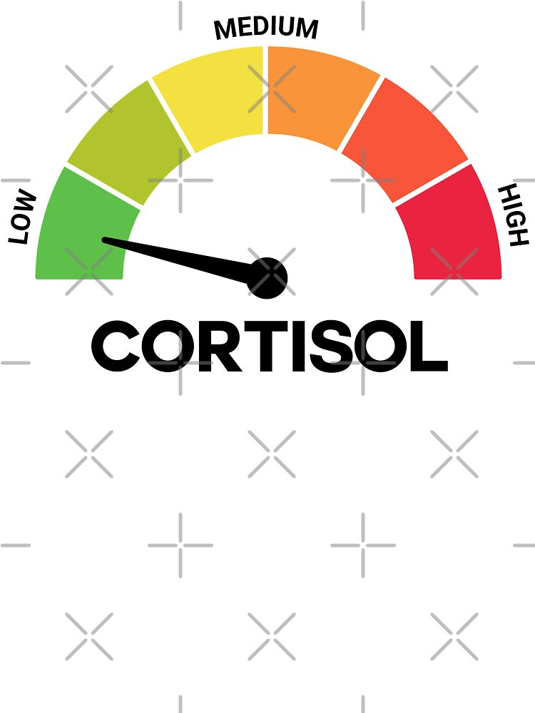 Funny Cortisol Low Level Stress Meter Meme – Anxiety & Burnout Humor Design by artworkathome