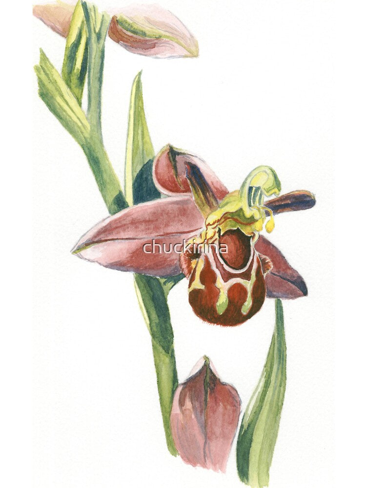 Bee Orchid by chuckirina