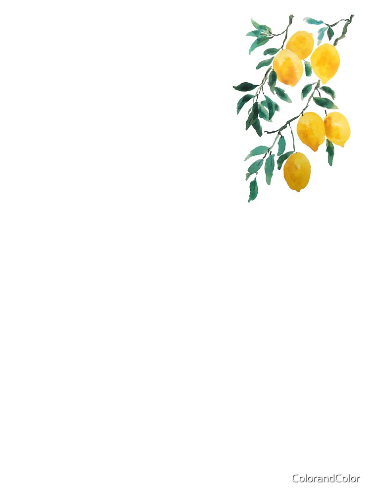 hand painted yellow lemon watercolor by ColorandColor
