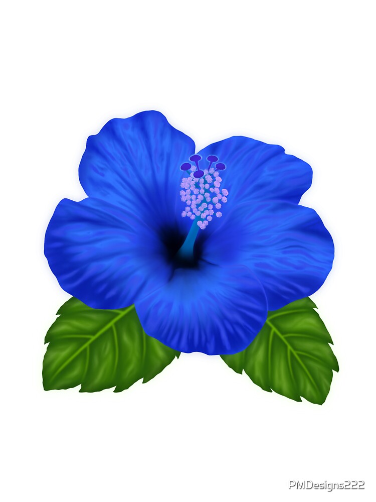 Blue Hibiscus flower by PMDesigns222