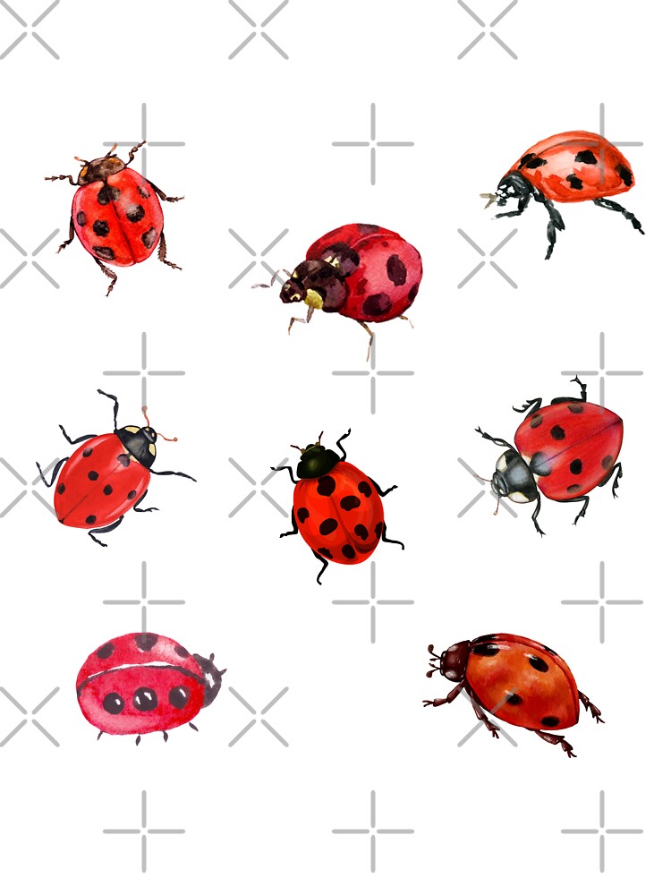 Watercolor Ladybugs by silviaol