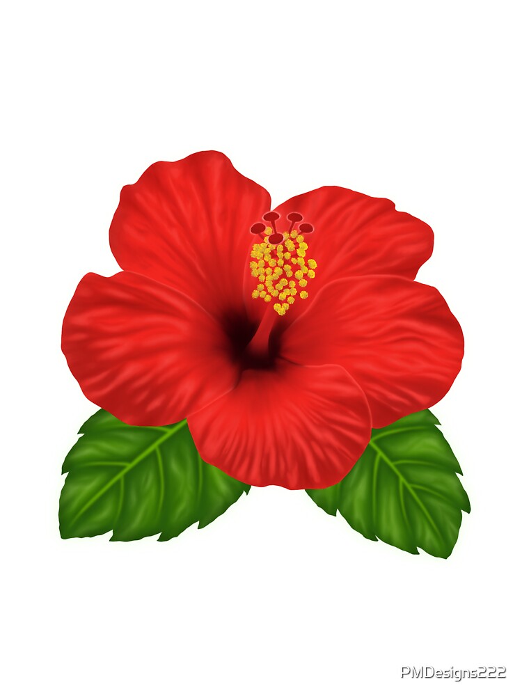 Red Hibiscus flower by PMDesigns222
