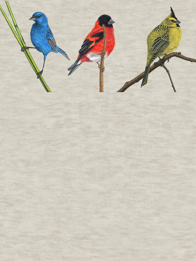 Three little birds in primary colours by paperbirdstudio