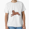 Vizsla by the2000scalled